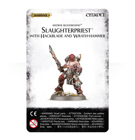 Warhammer AoS Slaughterpriest Hackblade