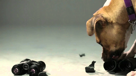 Vortex Lornetka Raptor 10x32 