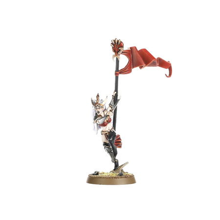 Warhammer AoS WITCH AELVES