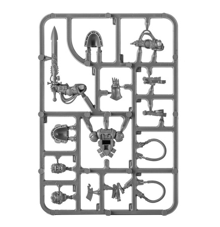 SPACE MARINES PRIMARIS LIBRARIAN