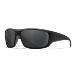 Okulary OMEGA Smoke Gray Frame Matte Black Wiley X