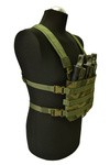 Zestaw wz93 SCOLOPENDRA 3x6 Chest Rig 3x1 AK AW