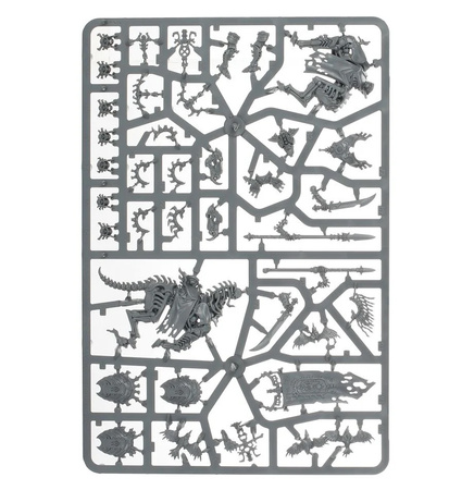 Warhammer AoS Kavalos Deathriders