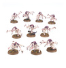 Combat Patrol: Tyranid Assault Brood
