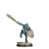 SPEARHEAD: SERAPHON SUNBLOODED PROWLERS
