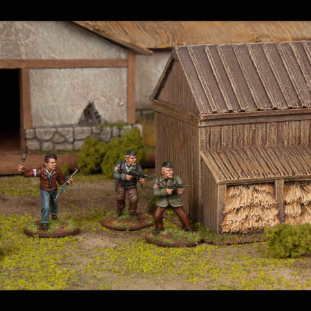 WARGAMES ATLANTIC - Partisans: French Resistance