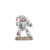 COMBAT PATROL: WHITE SCARS