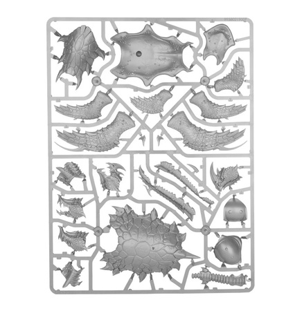 Warhammer AoS AKHELIAN LEVIADON