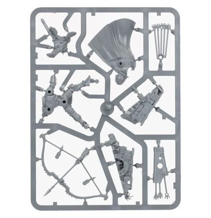 Warhammer AoS Knight Judicator with Gryph-hounds