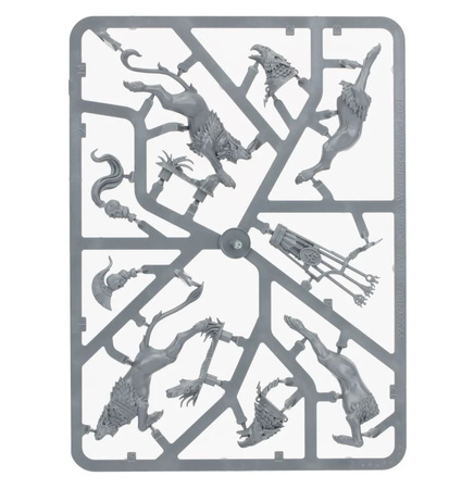 Warhammer AoS Knight Judicator with Gryph-hounds