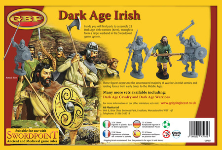 SAGA Dark Age Irish