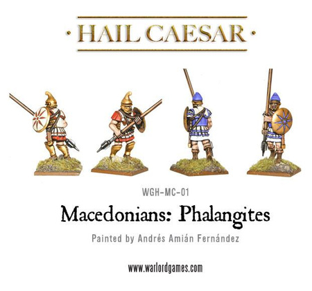 Hail Cesar: Macedonians: Phalangites