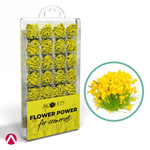 Scale 75: Flower Power - Yellow Flowers