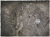 DEEP-CUT Gothic Ruins - Mousepad, 4x6 feet
