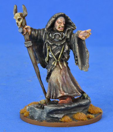 SAGA Pagan Priest Three - The Seer (1)
