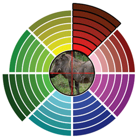 Luneta celownicza 3-9x32 Mini 1" Leapers