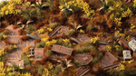 Gamers Grass: Broom Flowers