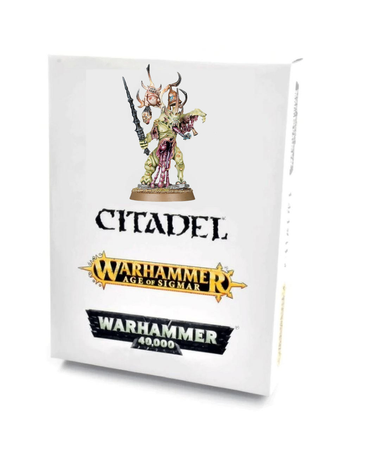 Warhammer AoS Poxbringer