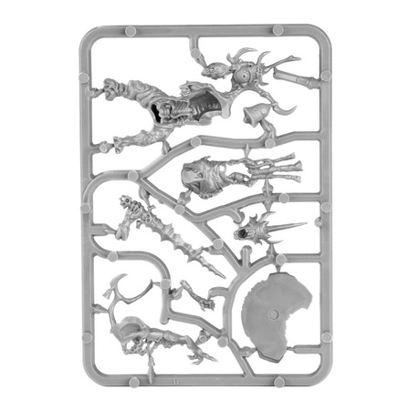 Warhammer AoS Poxbringer