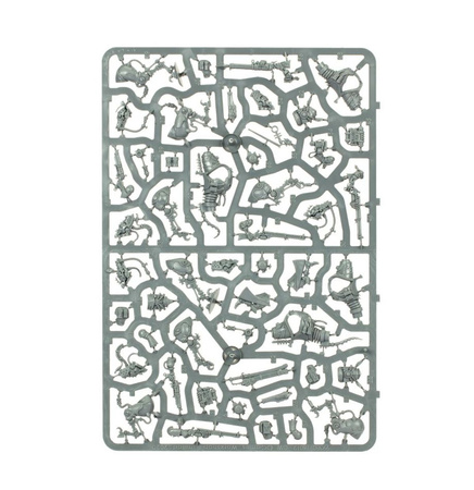 Warhammer 40K SERBERYS RAIDERS