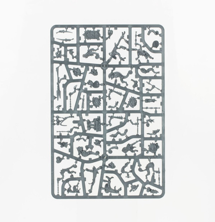 SPEARHEAD: SERAPHON SUNBLOODED PROWLERS