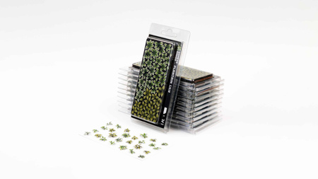 Gamers Grass: Laser Plants - Plantain Lily - Funkia