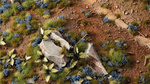 Gamers Grass: Cornflower Tiny Flowers