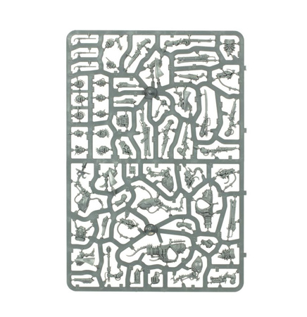 Warhammer 40K SERBERYS RAIDERS