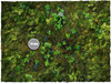 DEEP-CUT Jungle - Mousepad, 4x6 feet