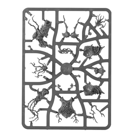 Warhammer AoS DRYCHA HAMADRETH