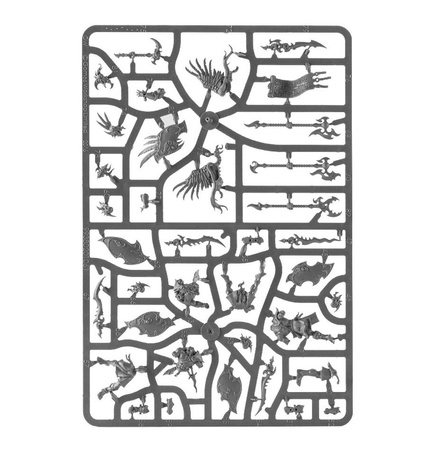 Warhammer AoS Kairic Acolytes