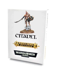 Warhammer AoS Hedonites of Slaanesh: Lord Of Hubris