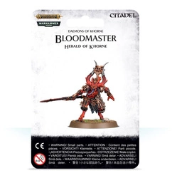 Warhammer AoS Bloodmaster Herald of Khorne